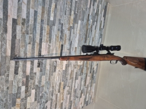Steyr