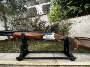 Rizzini Vertex