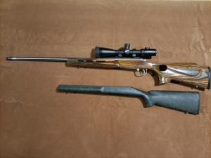 Remington 700