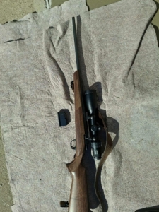 Browning A Bolt