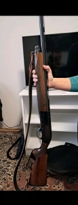 Beretta al 391 urika