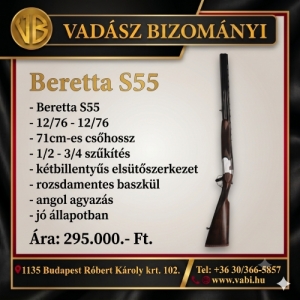 Beretta S55