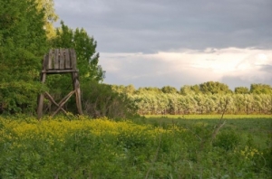 Vad�szati lehet�s�g