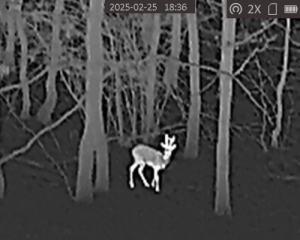 ELAD� – HIKMICRO LYNX PRO LH15 keres� h�kamera