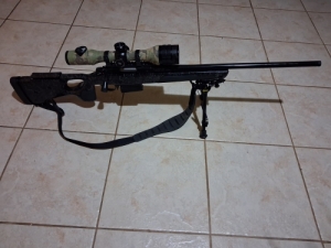 Bergara b14