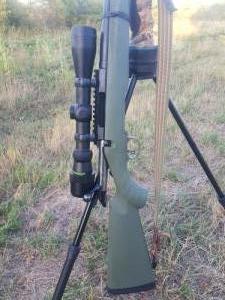 Amercan Ruger Predator .22-250