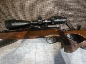 G�lyos puska