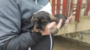 Sz�lk�ssz�r� tacsk�