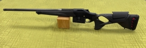 Blaser R8 Professional Succes Ultimate