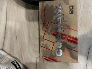 Hornady custom international 9.3x62