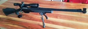 SAUER 202 Target, .308Win