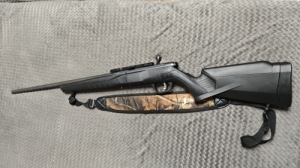22 WMR Savage