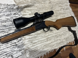Izs 18