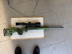Sauer 100