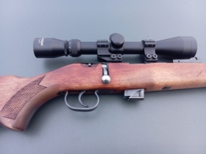 Toz 0.22-es kisbolyg�s
