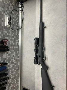 Savage93