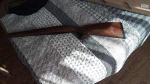 Cz 557 gy�ri tus