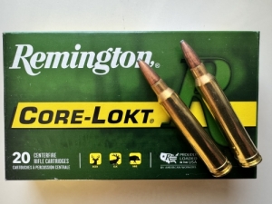 300 win.mag. Remington core lokt