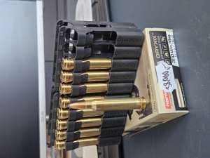  300 win. mag.