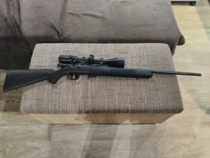 Savage M93 R17