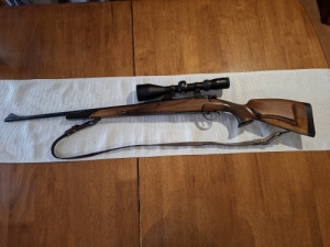 Zastava ARMS