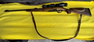 Steyr Mannlicher