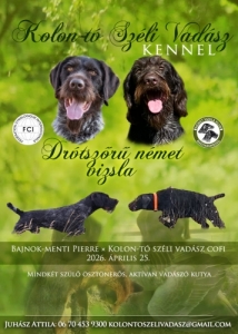 Dr�t sz�r� n�met vizsla