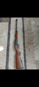 Izs 18