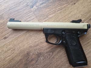 Ruger M22/45