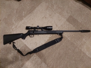 savage 22wmr