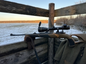 Mauser