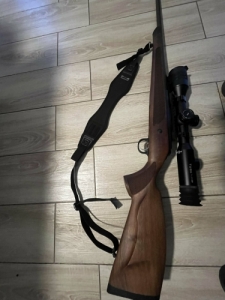 CZ600