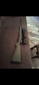 Ruger American Pred�tor