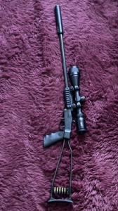 Kisgoly�s 22LR 