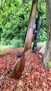 Mauser M66 243win