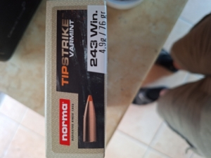 Norma tipstrike 243