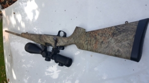 Remington Seven Gamo Predator 243win