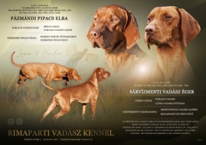 Rimaparti Vad�sz Kennel
