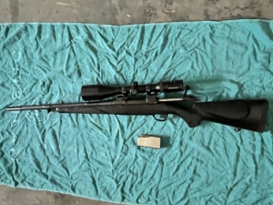 BLACK BEAR 9,3X62