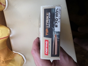 Norma tipstrike 270 win
