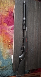 Winchester sxp Winchester sxp