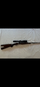 Chapuis Armes