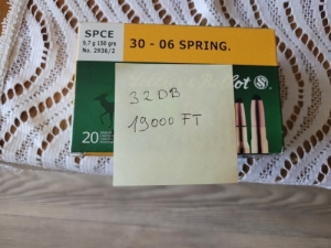 3006
