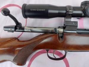 CZ 550
