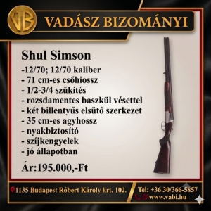 Shul Simson
