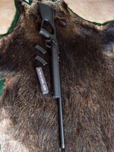 Regent 22 lr
