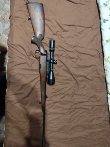 Steyr mannlicher 30-06