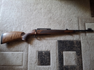 Cz600 lux 8x57js