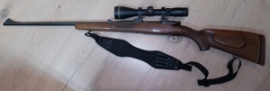 Zastava 243