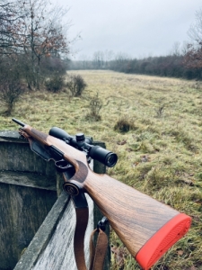Sauer 101 Artemis Elegance 
